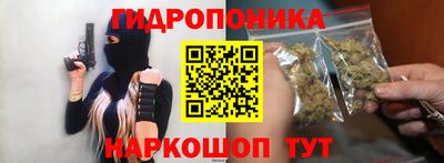 индика Тверь