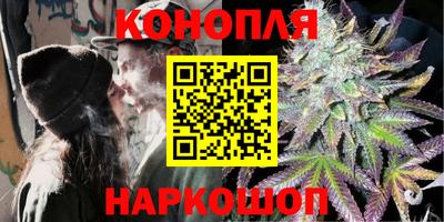 индика Тверь