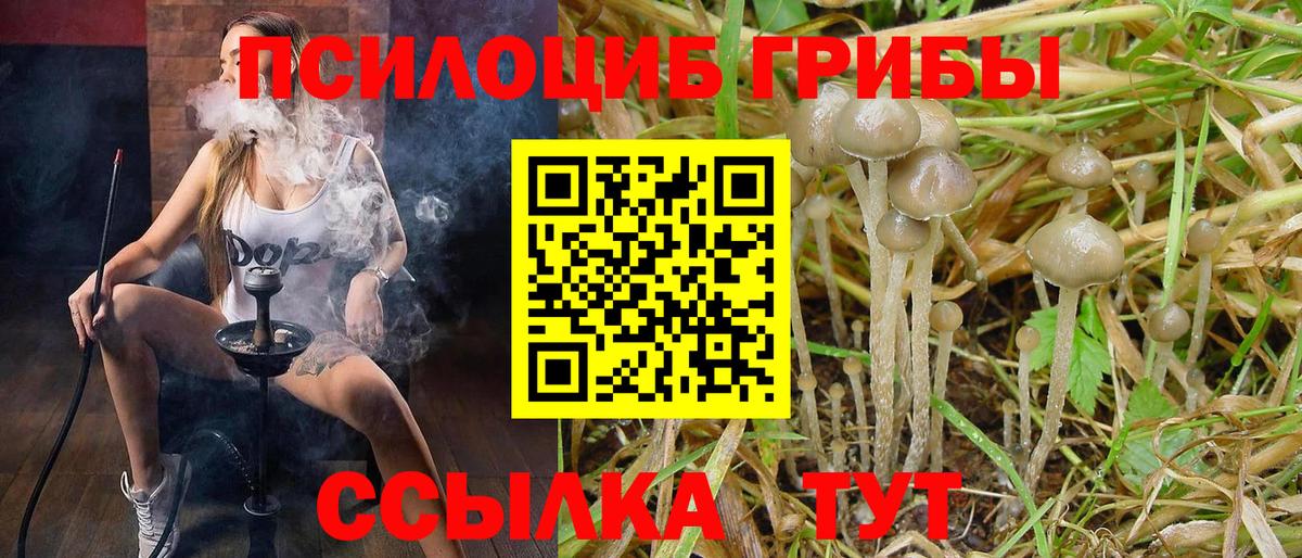 Галлюциногенные грибы GOLDEN TEACHER  Вход с VPN  Нефтеюганск 
